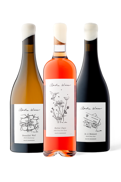 Aasha Wines Mixed Case - Fall 2022 Releases - Beautiful Wall, Better Days, and In a moment wines. 