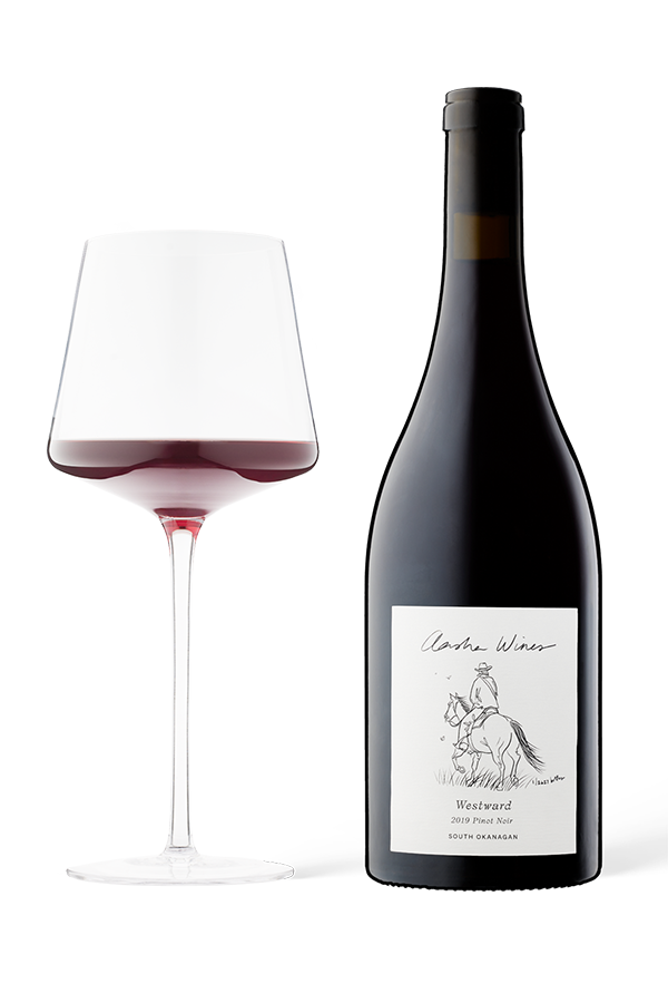 Aasha Wines - 2019 Pinot Noir - Westward - wine bottle with a glass of red wine